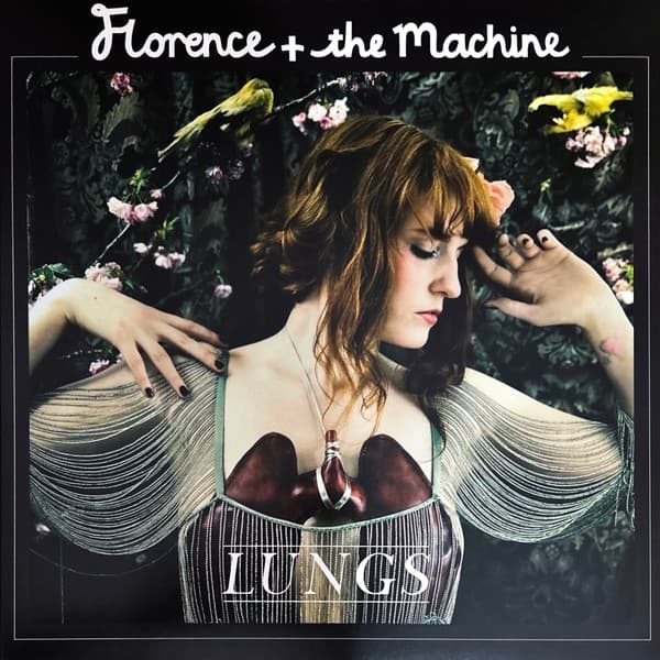 Album Cover Art for Lungs