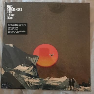 Album Cover Art for She Taught Me How To Fly