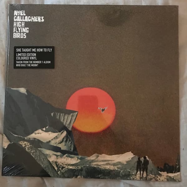 Album Cover Art for She Taught Me How To Fly