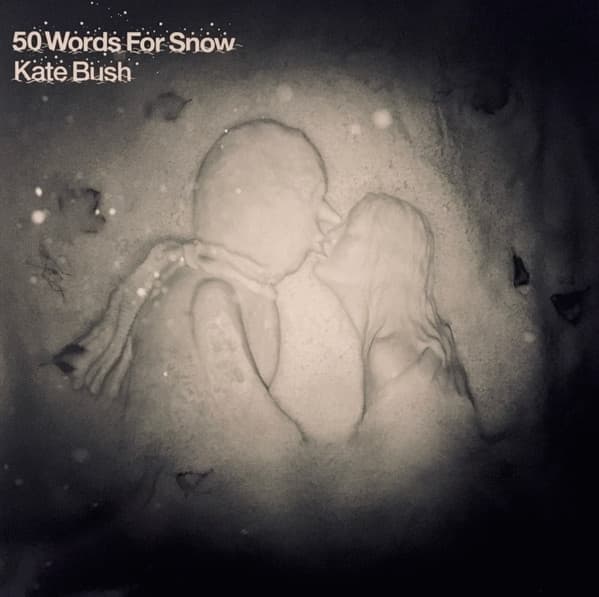 Album Cover Art for 50 Words For Snow