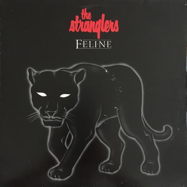 Album Cover Art for Feline