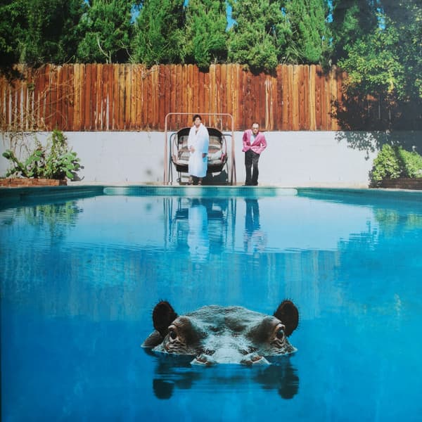 Album Cover Art for Hippopotamus