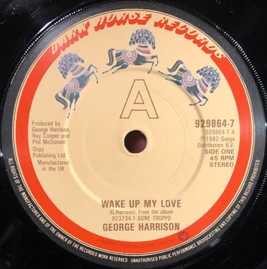 Album Cover Art for Wake Up My Love