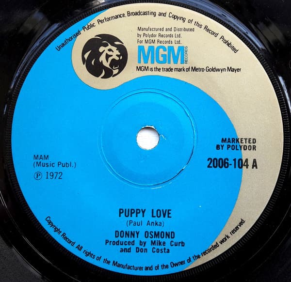 Album Cover Art for Puppy Love