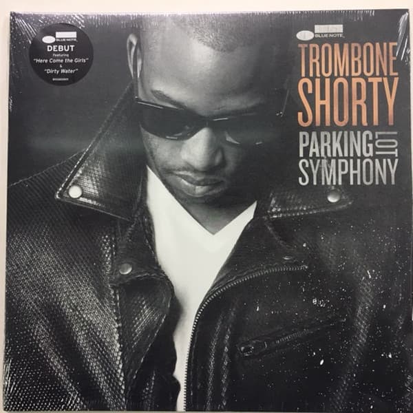 Album Cover Art for Parking Lot Symphony