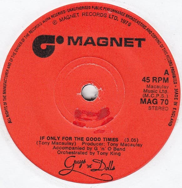 Album Cover Art for If Only For The Good Times