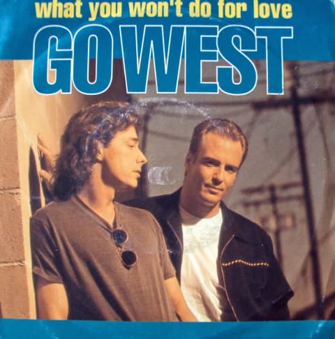 Album Cover Art for What You Won't Do For Love