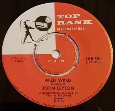 Album Cover Art for Wild Wind