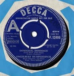 Album Cover Art for Dommage, Dommage