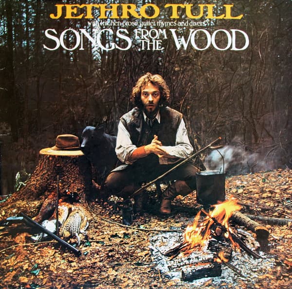 Album Cover Art for Songs From The Wood