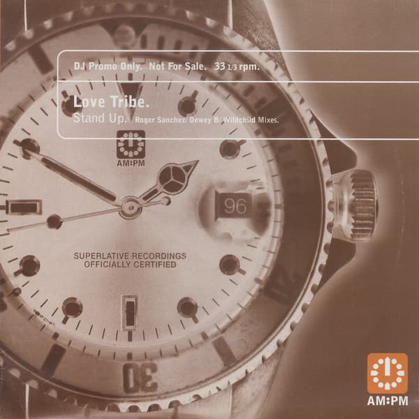 Album Cover Art for Stand Up (Roger Sanchez/ Dewey B/ Wildchild Mixes)