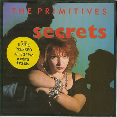 Album Cover Art for Secrets