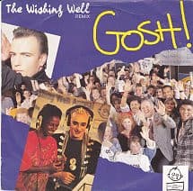 Album Cover Art for The Wishing Well (Remix)