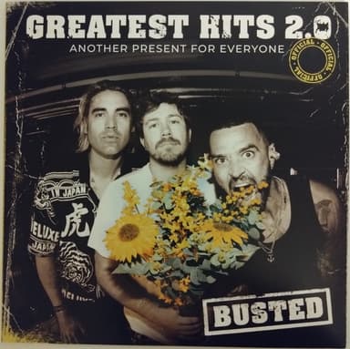 Album Cover Art for Greatest Hits 2.0 (Another Present For Everyone)