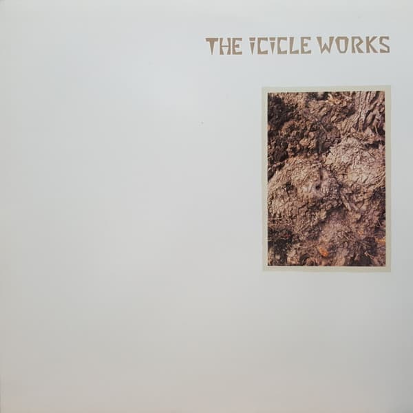 Album Cover Art for The Icicle Works