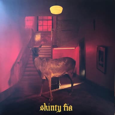 Album Cover Art for Skinty Fia