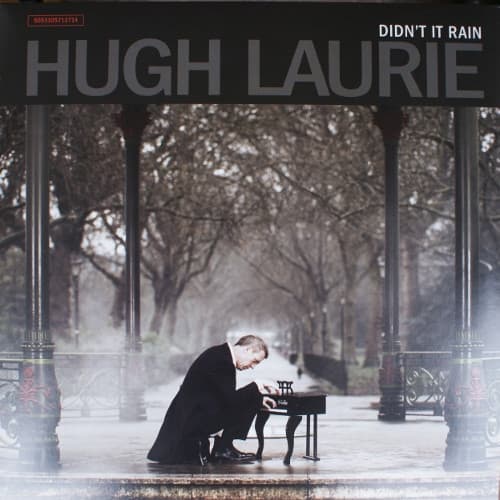 Album Cover Art for Didn't It Rain