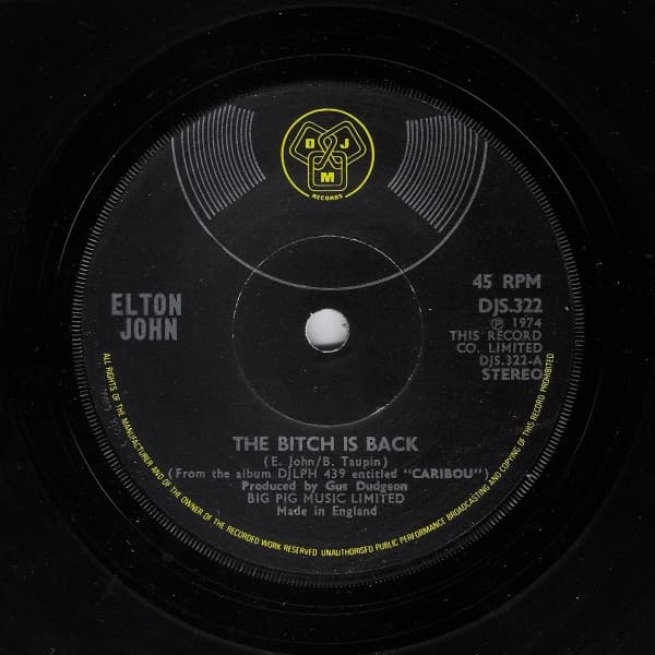 Album Cover Art for The Bitch Is Back