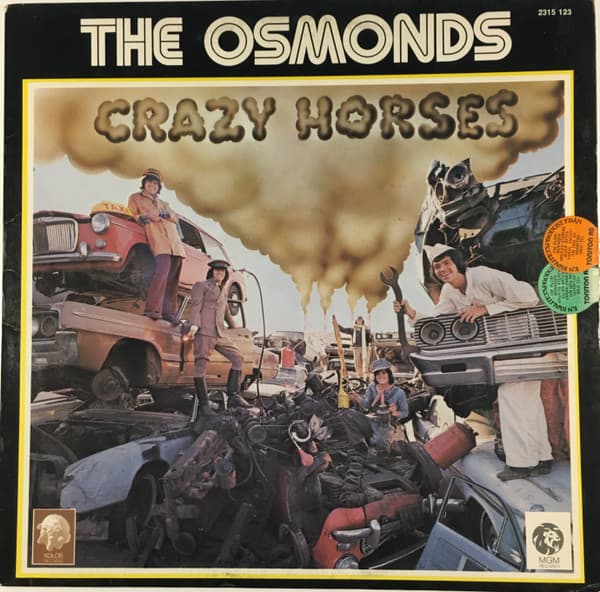 Album Cover Art for Crazy Horses