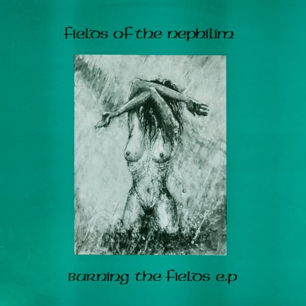 Album Cover Art for Burning The Fields E.P