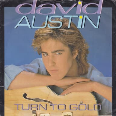 Album Cover Art for Turn To Gold