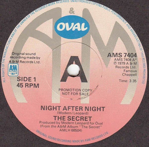 Album Cover Art for Night After Night