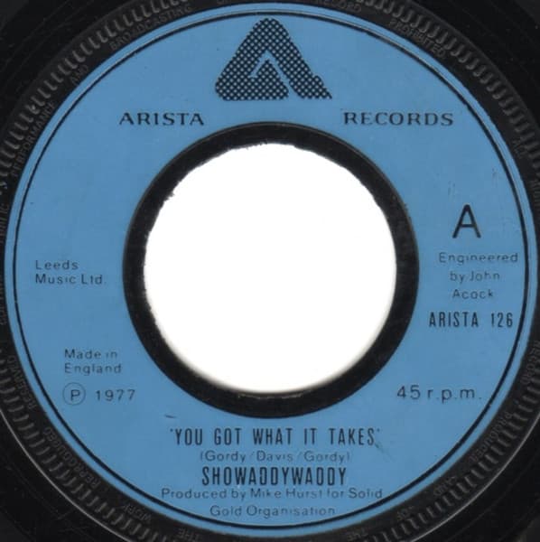 Album Cover Art for You Got What It Takes