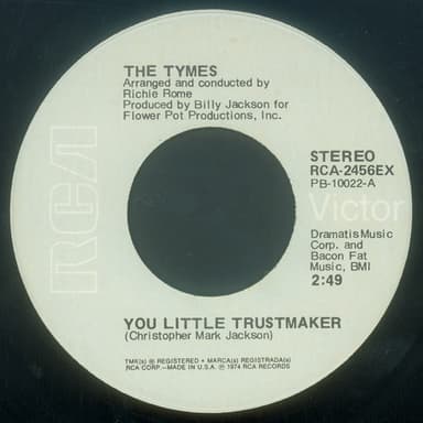 Album Cover Art for You Little Trustmaker