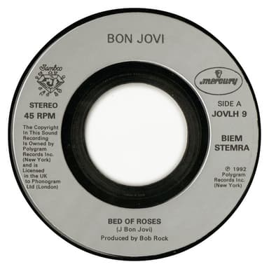 Album Cover Art for Bed Of Roses