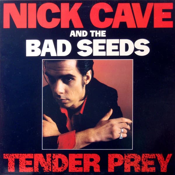 Album Cover Art for Tender Prey