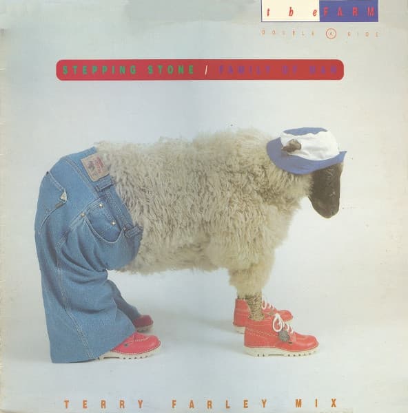 Album Cover Art for Stepping Stone / Family Of Man (Terry Farley Mix)