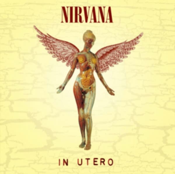 Album Cover Art for In Utero