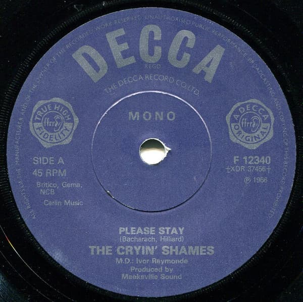 Album Cover Art for Please Stay