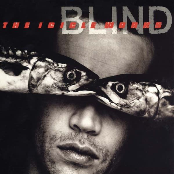 Album Cover Art for Blind
