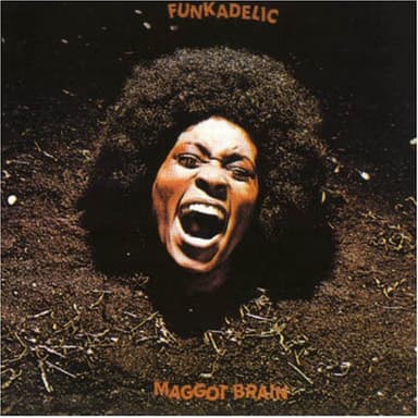 Album Cover Art for Maggot Brain