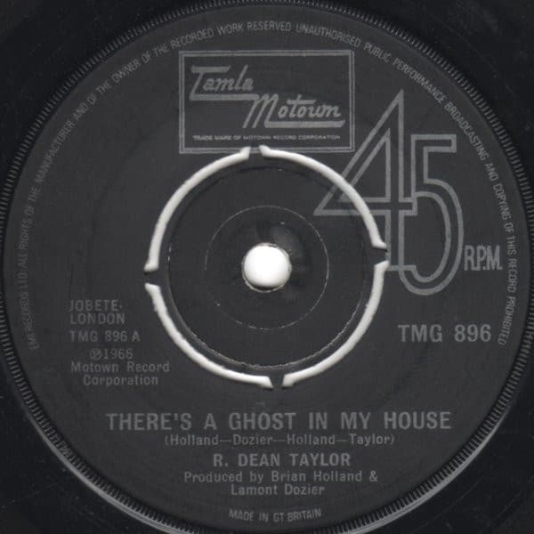 Album Cover Art for There's A Ghost In My House 