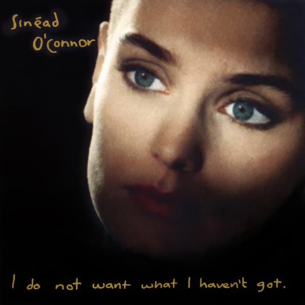 Album Cover Art for I Do Not Want What I Haven't Got