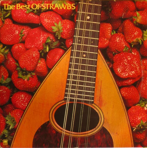 Album Cover Art for The Best Of Strawbs