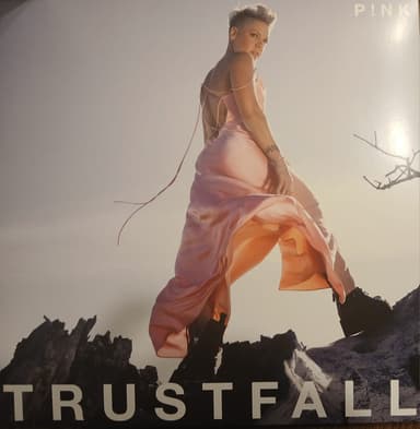 Album Cover Art for Trustfall