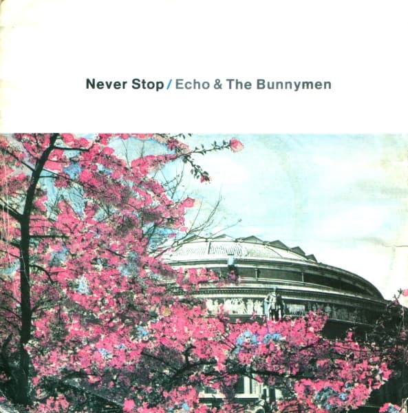 Album Cover Art for Never Stop
