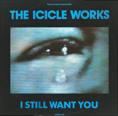 Album Cover Art for I Still Want You