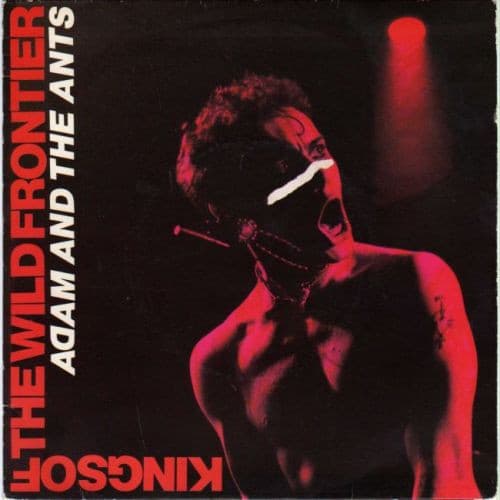 Album Cover Art for Kings Of The Wild Frontier