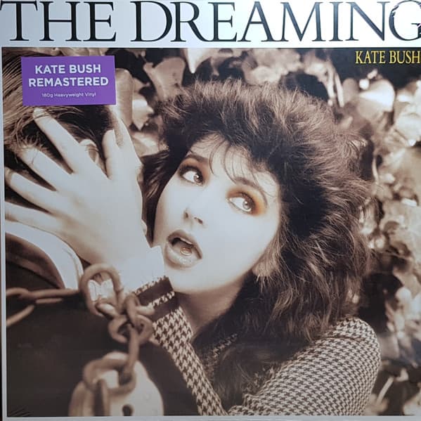 Album Cover Art for The Dreaming