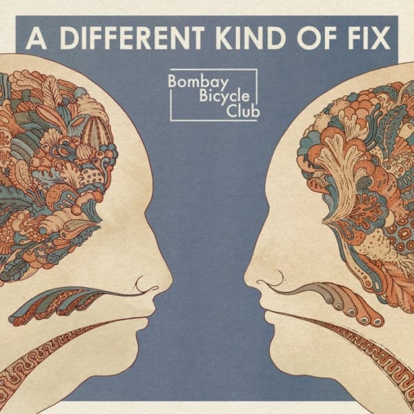 Album Cover Art for A Different Kind Of Fix