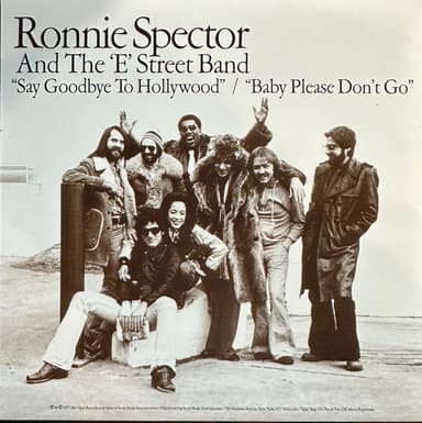 Album Cover Art for Say Goodbye To Hollywood / Baby Please Don't Go