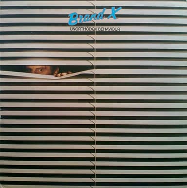 Album Cover Art for Unorthodox Behaviour