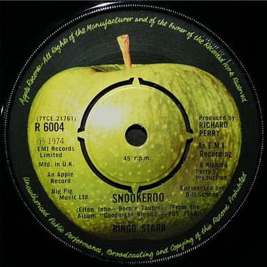 Album Cover Art for Snookeroo