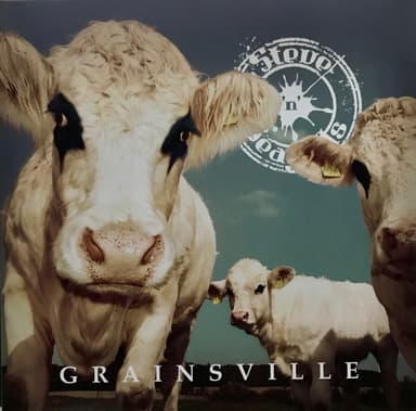 Album Cover Art for Grainsville