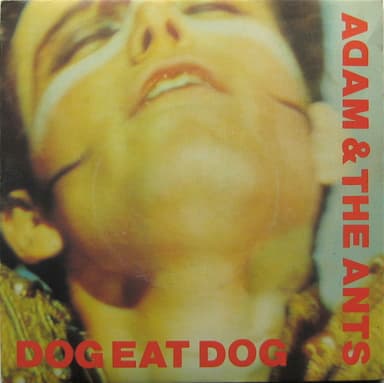 Album Cover Art for Dog Eat Dog