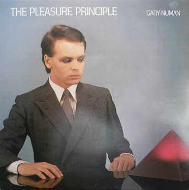 Album Cover Art for The Pleasure Principle